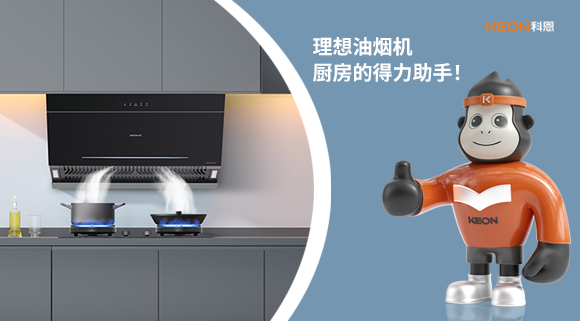 理想油煙機(jī)：廚房的得力助手！